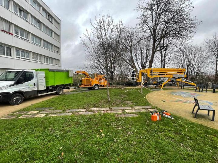 Travaux d’abattage Saint-Germain-en-Laye